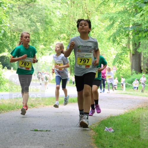 17.05.2025 - Störlauf Strokosch-Dieckow http://msf.ph/oto/7850968 17.05.2025 14:10:22 Laufen 787, 2025, 797, 504, 750 meine-sportfotos.de