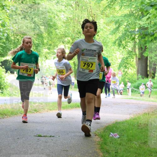 17.05.2025 - Störlauf Strokosch-Dieckow http://msf.ph/oto/7850970 17.05.2025 14:10:22 Laufen 787, 686, 797, 504, 750 meine-sportfotos.de