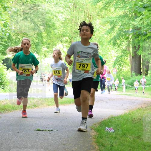 17.05.2025 - Störlauf Strokosch-Dieckow http://msf.ph/oto/7850972 17.05.2025 14:10:22 Laufen 787, 686, 2025, 797, 750, 904 meine-sportfotos.de