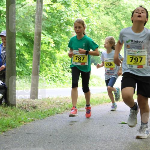 17.05.2025 - Störlauf Strokosch-Dieckow http://msf.ph/oto/7850976 17.05.2025 14:10:23 Laufen 60, 2025, 797, 787, 686, 786 meine-sportfotos.de