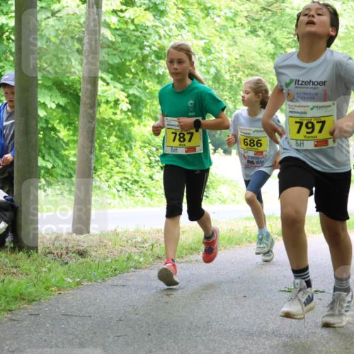 17.05.2025 - Störlauf Strokosch-Dieckow http://msf.ph/oto/7850979 17.05.2025 14:10:23 Laufen 787, 686, 2025, 797, 786 meine-sportfotos.de
