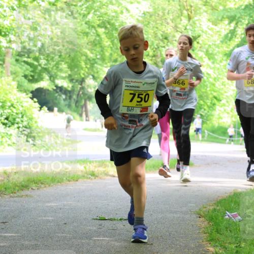17.05.2025 - Störlauf Strokosch-Dieckow http://msf.ph/oto/7850992 17.05.2025 14:10:30 Laufen 682, 366, 2025, 750, 859 meine-sportfotos.de