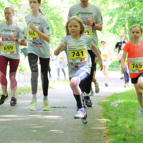 17.05.2025 - Störlauf Strokosch-Dieckow http://msf.ph/oto/7851007 17.05.2025 14:10:32 Laufen 699, 866, 904, 2025, 741, 977, 749 meine-sportfotos.de