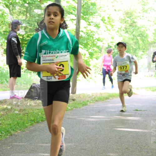 17.05.2025 - Störlauf Strokosch-Dieckow http://msf.ph/oto/7851025 17.05.2025 14:10:36 Laufen 2025, 977, 681 meine-sportfotos.de