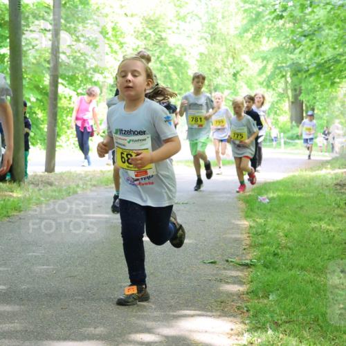 17.05.2025 - Störlauf Strokosch-Dieckow http://msf.ph/oto/7851034 17.05.2025 14:10:37 Laufen 2025, 977, 68, 781, 799, 775 meine-sportfotos.de