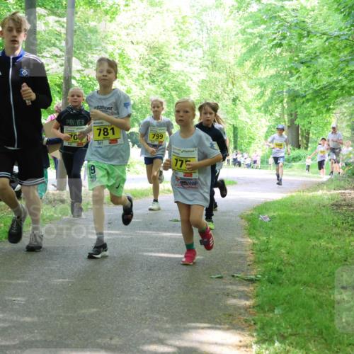 17.05.2025 - Störlauf Strokosch-Dieckow http://msf.ph/oto/7851038 17.05.2025 14:10:39 Laufen 781, 799, 775, 19, 948 meine-sportfotos.de