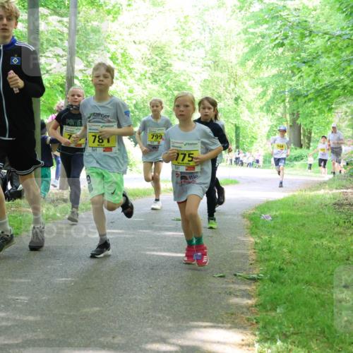 17.05.2025 - Störlauf Strokosch-Dieckow http://msf.ph/oto/7851040 17.05.2025 14:10:39 Laufen 781, 799, 175, 948 meine-sportfotos.de