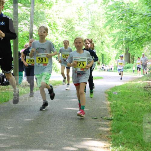 17.05.2025 - Störlauf Strokosch-Dieckow http://msf.ph/oto/7851041 17.05.2025 14:10:39 Laufen 703, 781, 799, 275, 948 meine-sportfotos.de