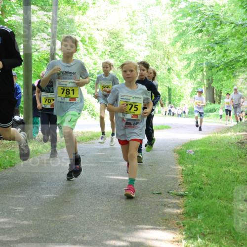 17.05.2025 - Störlauf Strokosch-Dieckow http://msf.ph/oto/7851043 17.05.2025 14:10:39 Laufen 70, 781, 700, 275 meine-sportfotos.de
