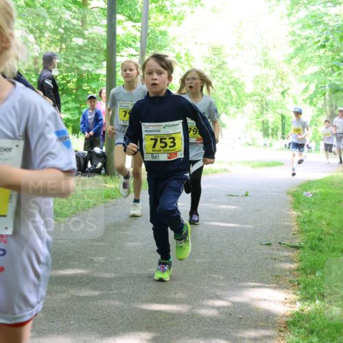17.05.2025 - Störlauf Strokosch-Dieckow http://msf.ph/oto/7851047 17.05.2025 14:10:41 Laufen 775, 79, 753, 948 meine-sportfotos.de