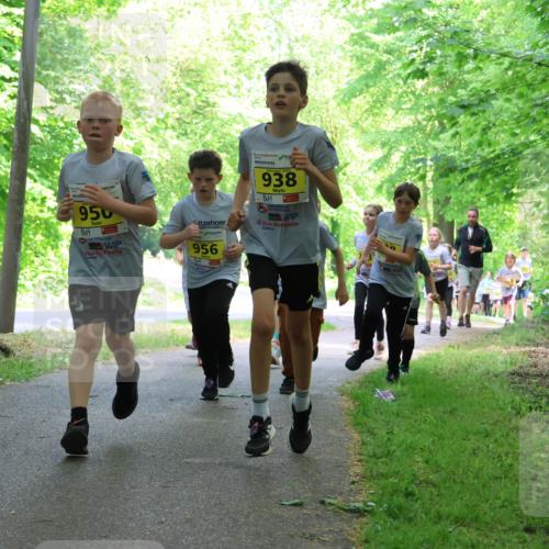 17.05.2025 - Störlauf Strokosch-Dieckow http://msf.ph/oto/7851090 17.05.2025 14:10:51 Laufen 950, 956, 2025, 938 meine-sportfotos.de