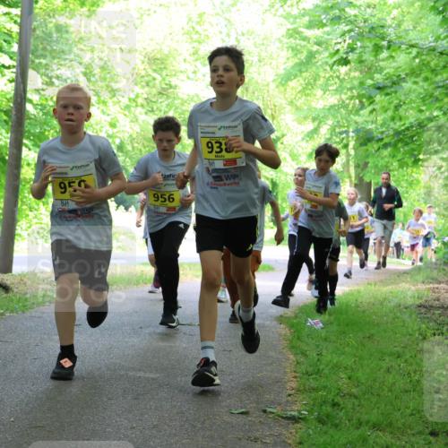 17.05.2025 - Störlauf Strokosch-Dieckow http://msf.ph/oto/7851092 17.05.2025 14:10:51 Laufen 202, 93, 950, 956, 31 meine-sportfotos.de