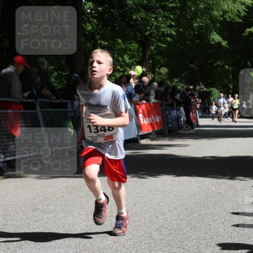17.05.2025 - Störlauf Strokosch-Dieckow http://msf.ph/oto/7851100 17.05.2025 14:52:46 Ziel 1340 meine-sportfotos.de
