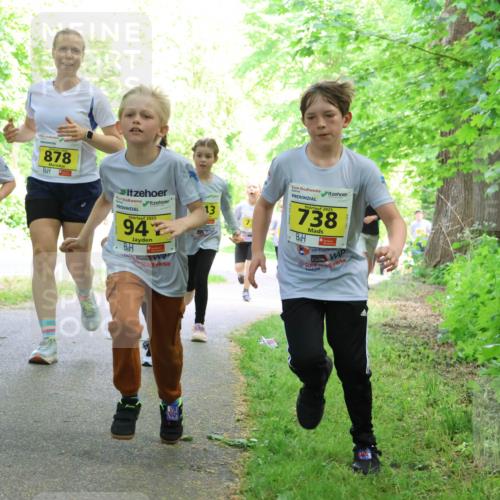 17.05.2025 - Störlauf Strokosch-Dieckow http://msf.ph/oto/7851106 17.05.2025 14:10:53 Laufen 783, 878, 2025, 94, 13, 2025, 738 meine-sportfotos.de