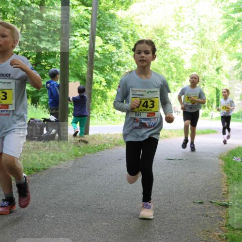 17.05.2025 - Störlauf Strokosch-Dieckow http://msf.ph/oto/7851110 17.05.2025 14:10:55 Laufen 2025, 783, 2025, 43 meine-sportfotos.de