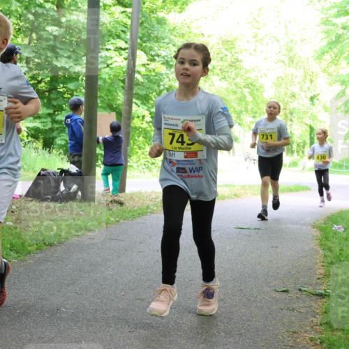 17.05.2025 - Störlauf Strokosch-Dieckow http://msf.ph/oto/7851114 17.05.2025 14:10:55 Laufen 2025, 783, 74, 731, 830 meine-sportfotos.de