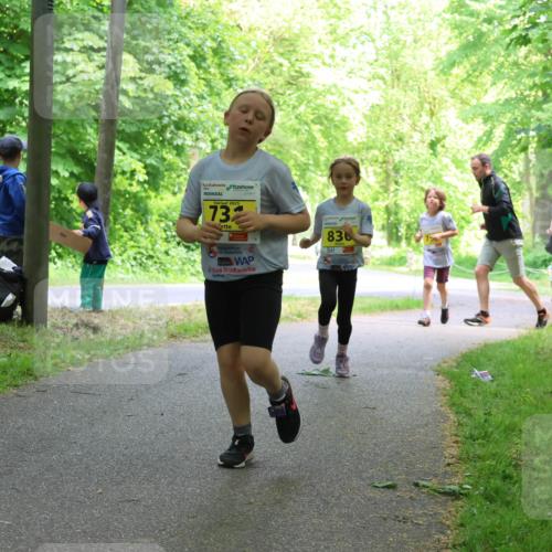 17.05.2025 - Störlauf Strokosch-Dieckow http://msf.ph/oto/7851116 17.05.2025 14:10:57 Laufen 2025, 73, 836 meine-sportfotos.de