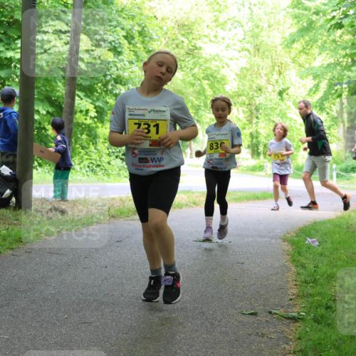 17.05.2025 - Störlauf Strokosch-Dieckow http://msf.ph/oto/7851119 17.05.2025 14:10:57 Laufen 2025, 231, 83 meine-sportfotos.de