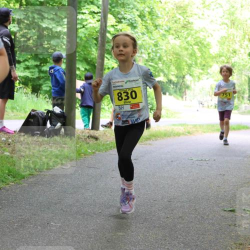 17.05.2025 - Störlauf Strokosch-Dieckow http://msf.ph/oto/7851121 17.05.2025 14:10:58 Laufen 2025, 830, 751, 903 meine-sportfotos.de