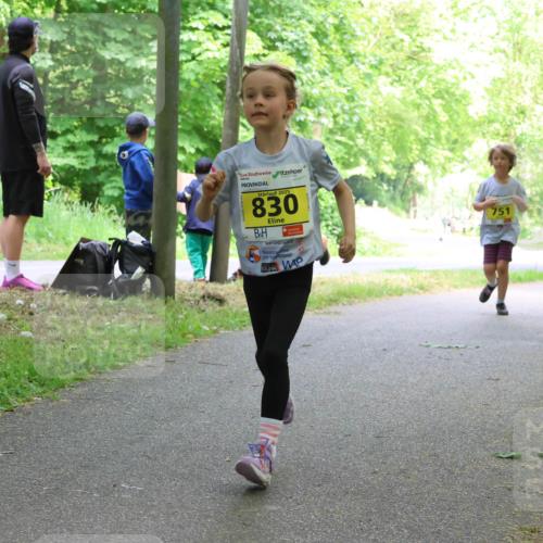 17.05.2025 - Störlauf Strokosch-Dieckow http://msf.ph/oto/7851123 17.05.2025 14:10:58 Laufen 2025, 830, 751, 903 meine-sportfotos.de