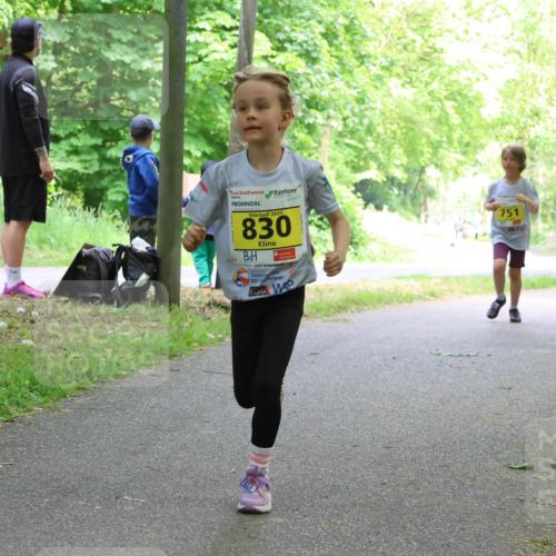 17.05.2025 - Störlauf Strokosch-Dieckow http://msf.ph/oto/7851125 17.05.2025 14:10:59 Laufen 2025, 830, 751, 903 meine-sportfotos.de