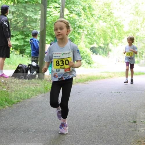 17.05.2025 - Störlauf Strokosch-Dieckow http://msf.ph/oto/7851127 17.05.2025 14:10:59 Laufen 2025, 830, 54, 751, 903 meine-sportfotos.de