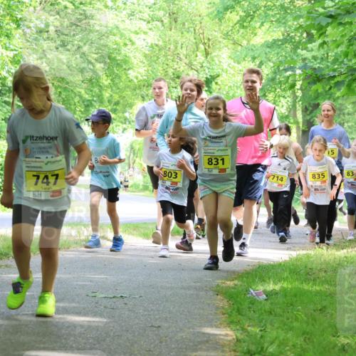 17.05.2025 - Störlauf Strokosch-Dieckow http://msf.ph/oto/7851158 17.05.2025 14:11:11 Laufen 747, 3, 803, 831, 714, 835, 15, 83 meine-sportfotos.de