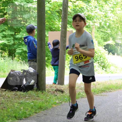 17.05.2025 - Störlauf Strokosch-Dieckow http://msf.ph/oto/7851207 17.05.2025 14:11:37 Laufen 965 meine-sportfotos.de
