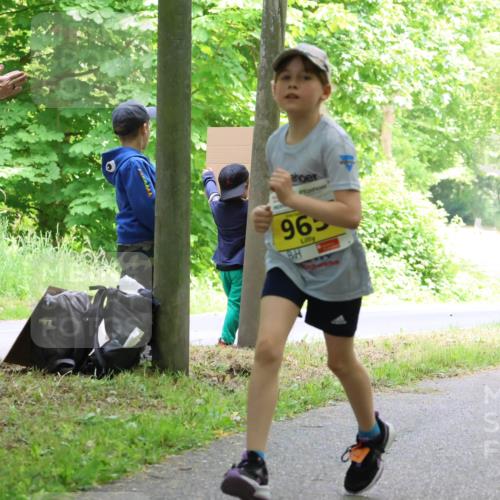 17.05.2025 - Störlauf Strokosch-Dieckow http://msf.ph/oto/7851209 17.05.2025 14:11:37 Laufen 965 meine-sportfotos.de