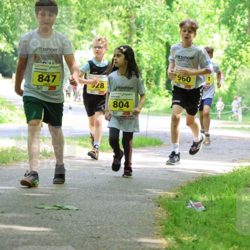 17.05.2025 - Störlauf Strokosch-Dieckow http://msf.ph/oto/7851243 17.05.2025 14:11:51 Laufen 2025, 36, 2025, 847, 28, 960, 2025, 804 meine-sportfotos.de