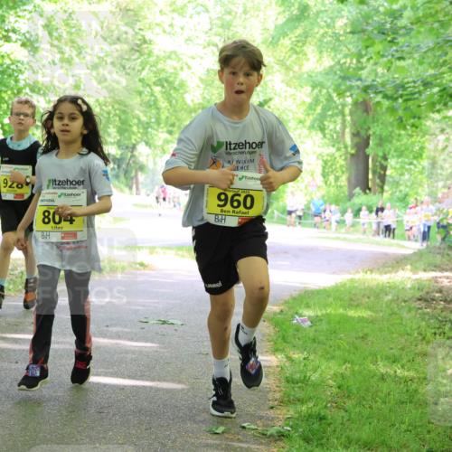 17.05.2025 - Störlauf Strokosch-Dieckow http://msf.ph/oto/7851255 17.05.2025 14:11:54 Laufen 847, 9, 804, 2025, 960 meine-sportfotos.de