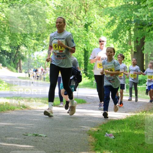 17.05.2025 - Störlauf Strokosch-Dieckow http://msf.ph/oto/7851281 17.05.2025 14:12:02 Laufen 917, 94, 839, 842, 752 meine-sportfotos.de