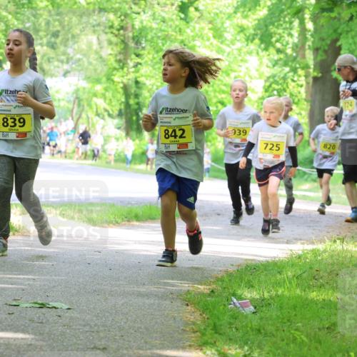 17.05.2025 - Störlauf Strokosch-Dieckow http://msf.ph/oto/7851301 17.05.2025 14:12:08 Laufen 2025, 839, 842, 939, 820, 725, 724, 856 meine-sportfotos.de