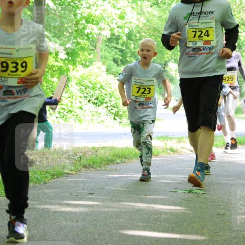 17.05.2025 - Störlauf Strokosch-Dieckow http://msf.ph/oto/7851325 17.05.2025 14:12:14 Laufen 2025, 939, 723, 2025, 724, 929, 856, 74 meine-sportfotos.de