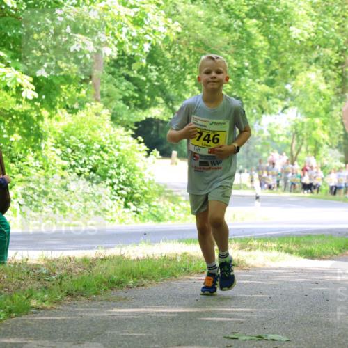 17.05.2025 - Störlauf Strokosch-Dieckow http://msf.ph/oto/7851344 17.05.2025 14:12:19 Laufen 2025, 746 meine-sportfotos.de