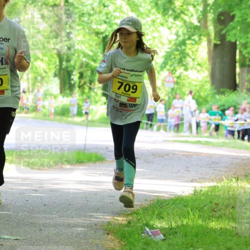 17.05.2025 - Störlauf Strokosch-Dieckow http://msf.ph/oto/7851405 17.05.2025 14:12:38 Laufen 2025, 710, 2025, 709, 907 meine-sportfotos.de