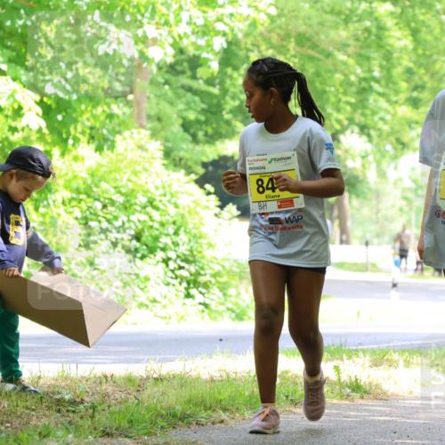 17.05.2025 - Störlauf Strokosch-Dieckow http://msf.ph/oto/7851429 17.05.2025 14:12:47 Laufen 84, 2025, 907 meine-sportfotos.de