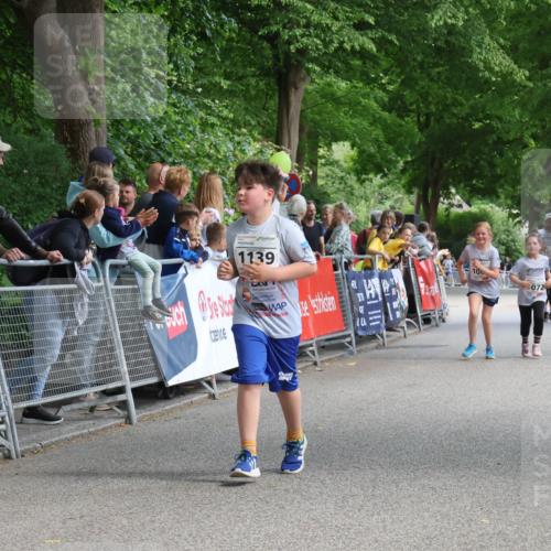 17.05.2025 - Störlauf Strokosch-Dieckow http://msf.ph/oto/7851439 17.05.2025 14:57:43 Ziel 62, 1139, 100, 072, 1073 meine-sportfotos.de