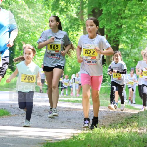 17.05.2025 - Störlauf Strokosch-Dieckow http://msf.ph/oto/7851450 17.05.2025 14:12:53 Laufen 701, 2025, 700, 2025, 865, 2025, 822, 975, 954, 46, 891 meine-sportfotos.de