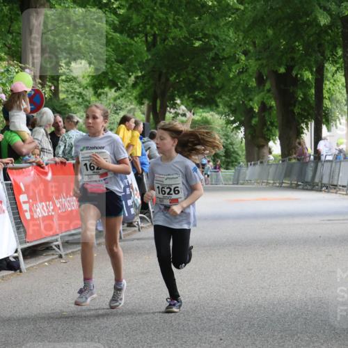 17.05.2025 - Störlauf Strokosch-Dieckow http://msf.ph/oto/7851471 17.05.2025 14:58:14 Ziel 16, 1626 meine-sportfotos.de