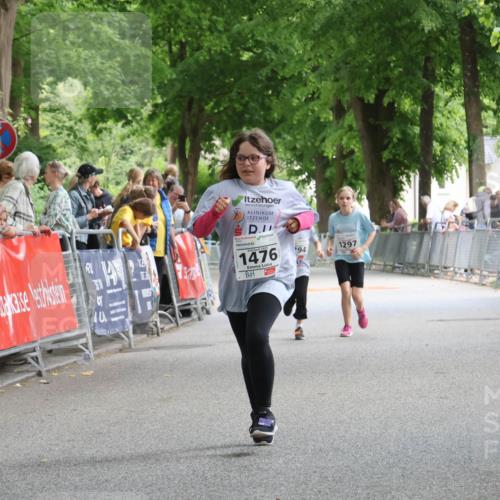17.05.2025 - Störlauf Strokosch-Dieckow http://msf.ph/oto/7851516 17.05.2025 14:59:57 Ziel 2, 1476, 94, 1297 meine-sportfotos.de