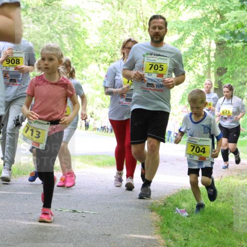 17.05.2025 - Störlauf Strokosch-Dieckow http://msf.ph/oto/7851518 17.05.2025 14:13:30 Laufen 35, 908, 2025, 713, 705, 18, 873, 17, 704 meine-sportfotos.de