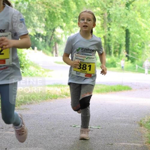 17.05.2025 - Störlauf Strokosch-Dieckow http://msf.ph/oto/7851577 17.05.2025 14:13:59 Laufen 202, 882, 2025, 381 meine-sportfotos.de