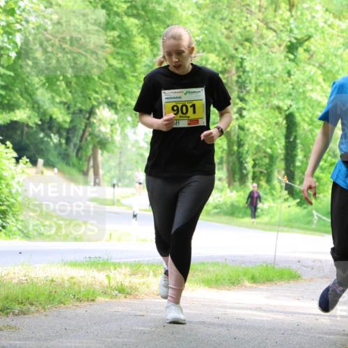 17.05.2025 - Störlauf Strokosch-Dieckow http://msf.ph/oto/7851590 17.05.2025 14:14:06 Laufen 2025, 901, 2025, 900 meine-sportfotos.de
