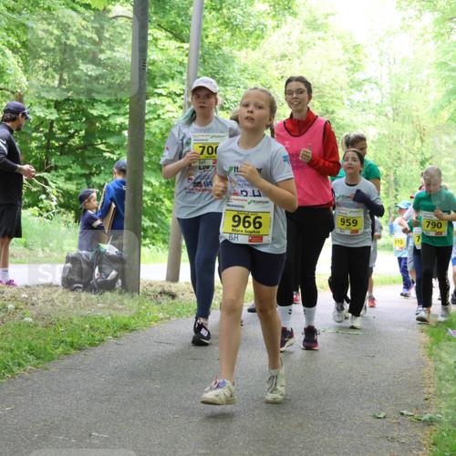 17.05.2025 - Störlauf Strokosch-Dieckow http://msf.ph/oto/7851625 17.05.2025 14:14:20 Laufen 700, 104, 966, 959, 910, 790, 838 meine-sportfotos.de