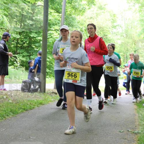 17.05.2025 - Störlauf Strokosch-Dieckow http://msf.ph/oto/7851629 17.05.2025 14:14:20 Laufen 2025, 966, 959, 910, 790, 38 meine-sportfotos.de