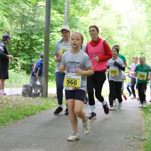 17.05.2025 - Störlauf Strokosch-Dieckow http://msf.ph/oto/7851630 17.05.2025 14:14:20 Laufen 2025, 966, 959, 790, 838, 10 meine-sportfotos.de