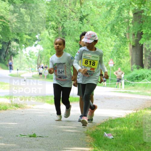 17.05.2025 - Störlauf Strokosch-Dieckow http://msf.ph/oto/7851730 17.05.2025 14:16:01 Laufen 818 meine-sportfotos.de