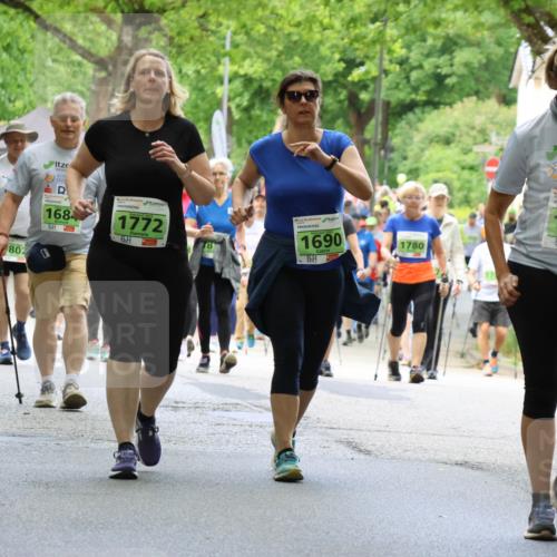 17.05.2025 - Störlauf Strokosch-Dieckow http://msf.ph/oto/7852043 17.05.2025 14:31:58 Laufen 1778, 1694, 802, 1684, 1772, 1690, 1780, 2025, 1698, 17 meine-sportfotos.de