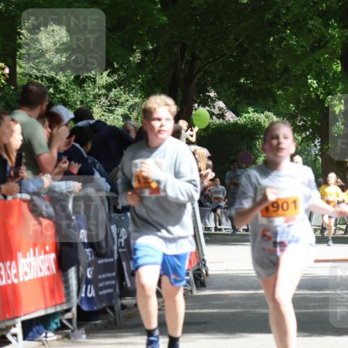 17.05.2025 - Störlauf Strokosch-Dieckow http://msf.ph/oto/7852050 17.05.2025 15:27:03 Ziel 31, 901, 2066, 1912 meine-sportfotos.de